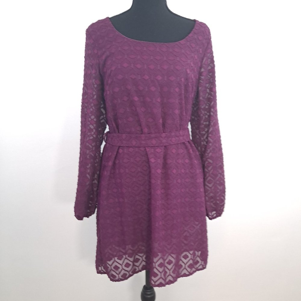 Francesca Birdcage  Diamond Textured Long Sleeve Lined Dress With Belt